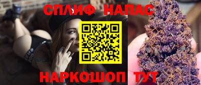 амф Кандалакша
