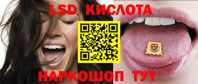 амф Кандалакша