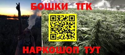амф Кандалакша