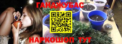 амф Кандалакша