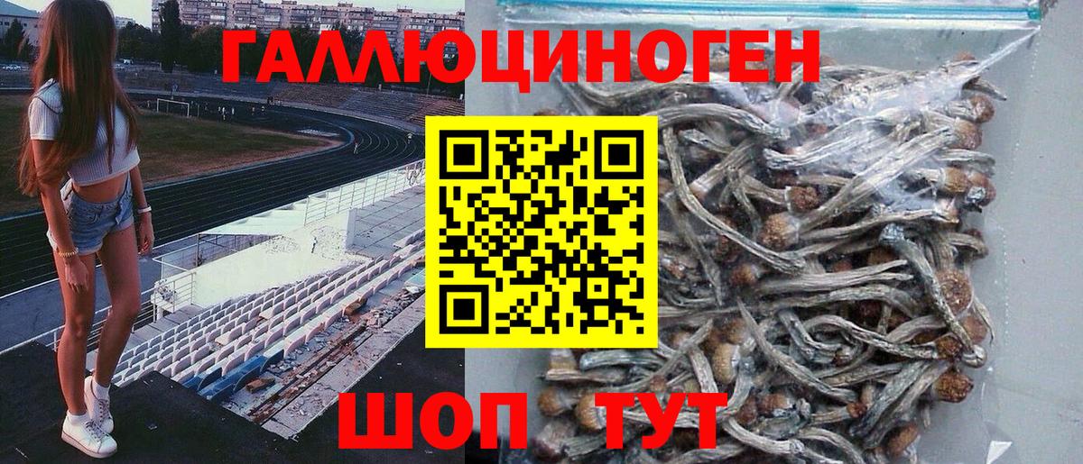 Псилоцибиновые грибы GOLDEN TEACHER Лабытнанги
